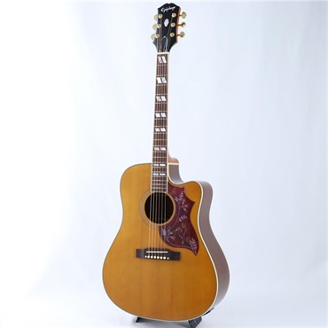 Epiphone Hummingbird Standard EC （Antique Natural） エピフォン 画像2
