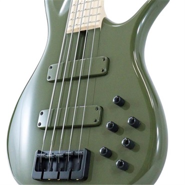 F-bass BN5 Alder body (Evergreen Gloss with Black Hardware) 画像2