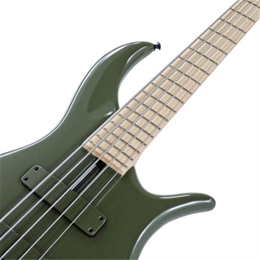 F-bass BN5 Alder body (Evergreen Gloss with Black Hardware) 画像3