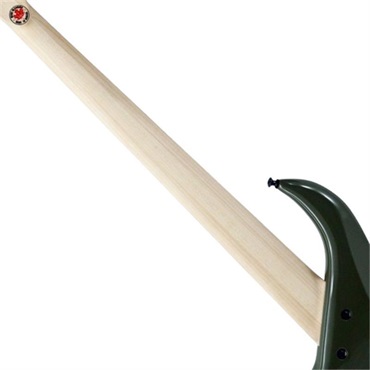 F-bass BN5 Alder body (Evergreen Gloss with Black Hardware) 画像9