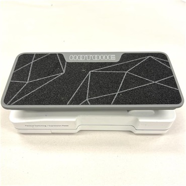 HOTONE USED 中古　Ampero II Press 画像4