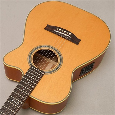 MATON Master Built TE.Personal Cutaway メイトン 画像4