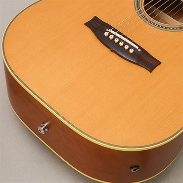 MATON Master Built TE.Personal Cutaway メイトン 画像7