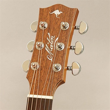 MATON Master Built TE.Personal Cutaway メイトン 画像10