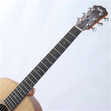 TAYLOR USED 中古 GS Mini Sapele テイラー 画像6