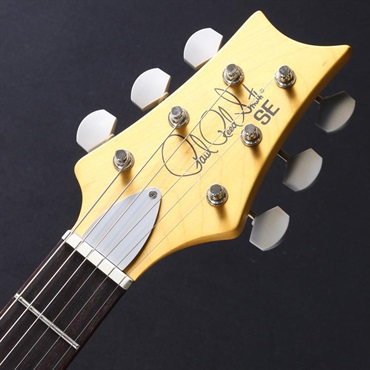 P.R.S. USED 中古 SE Silver Sky (Dragon Frut) [John Mayer Model] #CTI E04153 画像4