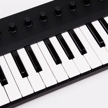 Native Instruments USED 中古 KOMPLETE KONTROL M32 (32鍵USB MIDIコントローラー)(ネイティブ・インストゥルメンツ) 画像1
