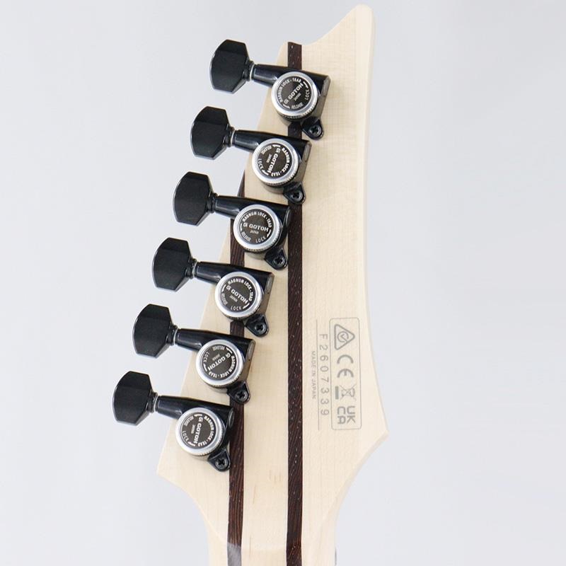 Ibanez Prestige RGR5121RB-GRF (Gray Metallic Flat) [SPOT MODEL