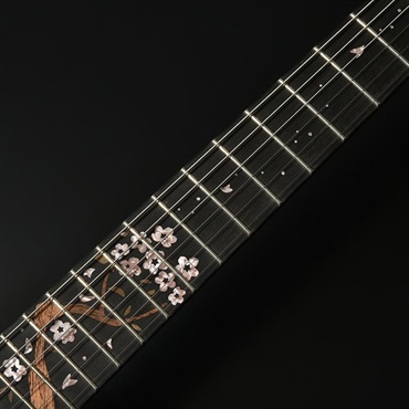 Seventy Seven 【6月中旬以降入荷予定】 Aska-Made Series ALBATROSS-SAKURA-PP SP'26/E (YZK-GRD) 【ディバイザー大商談会2026選定品】 画像4