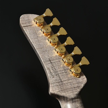 STR GUITARS 【5月下旬以降入荷予定】 JTG Design SSH ALD (GOLD-FLD) [SN.JTD0110] 【ディバイザー大商談会2026選定品】 画像10