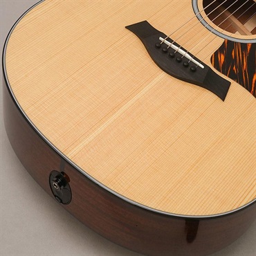 TAYLOR Next Generation 312ce テイラー 画像7
