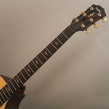 TAYLOR Next Generation 312ce テイラー 画像8