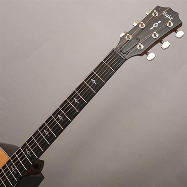 TAYLOR Next Generation 412ce テイラー 画像8