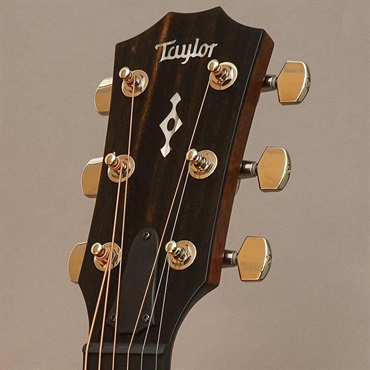 TAYLOR Next Generation 412ce テイラー 画像10