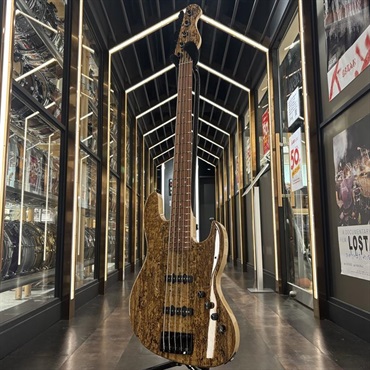 BLACK SMOKER Urbanite Series Beta J5 XL SV (Spalted Oak Top) 画像1