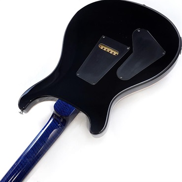 P.R.S. Wood Library Custom 24 Semi-Hollow (Whale Blue) SN.0421115 【2026年生産品】 画像6