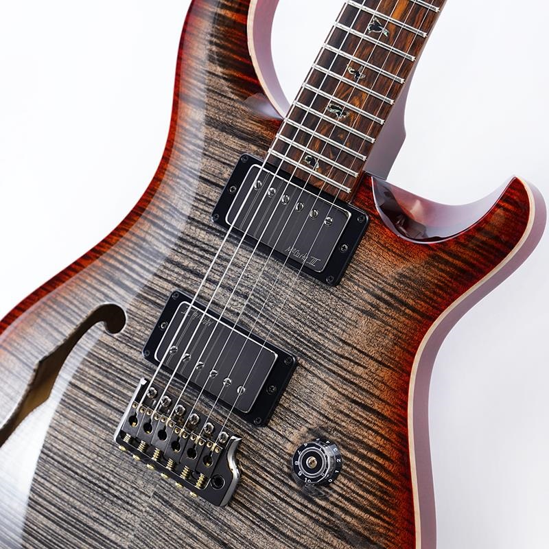 P.R.S. Wood Library Custom 24 Semi-Hollow (Chacoal Cherry Burst