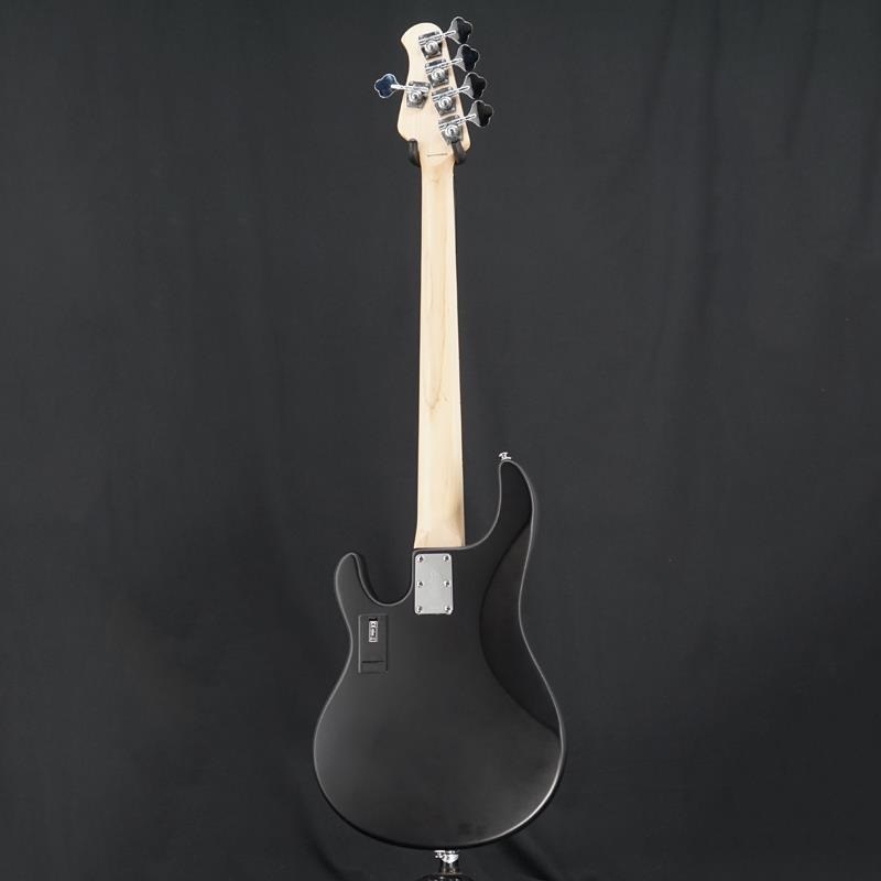 Sterling by MUSICMAN USED 中古 S.U.B. Series Ray5 (SBS/Maple