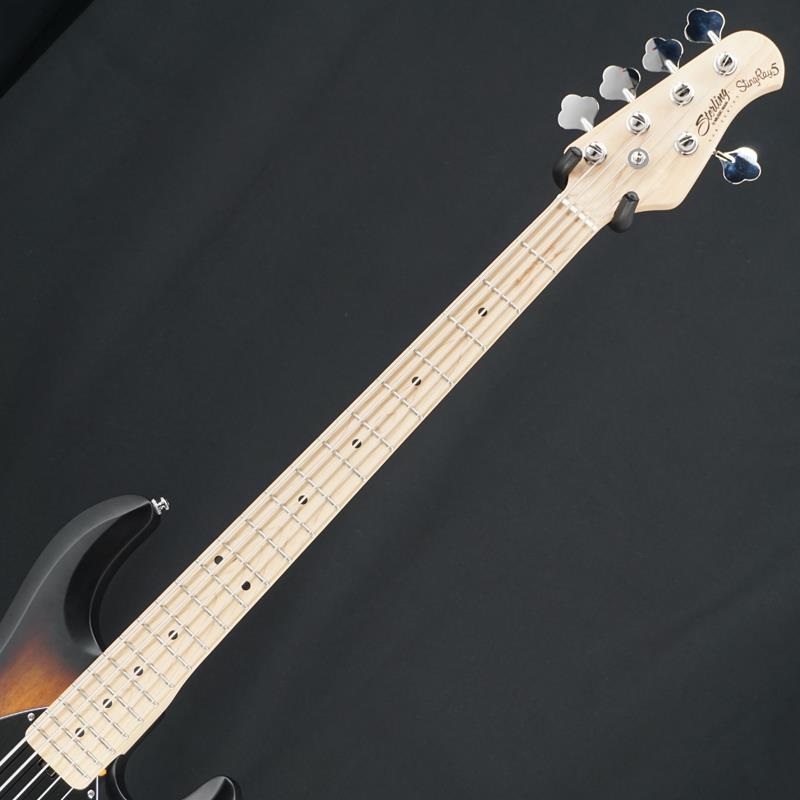 Sterling by MUSICMAN USED 中古 S.U.B. Series Ray5 (SBS/Maple