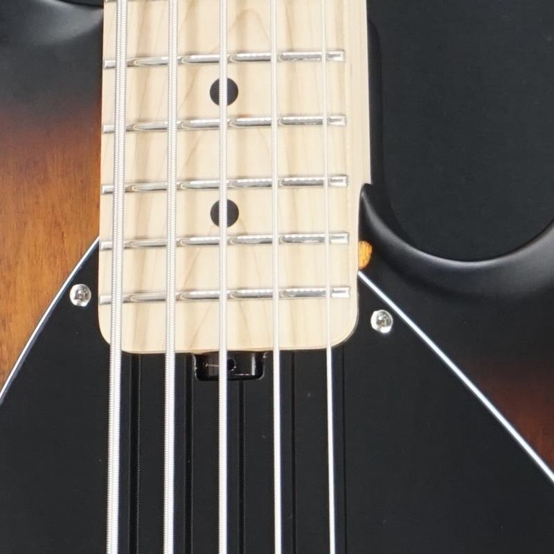 Sterling by MUSICMAN USED 中古 S.U.B. Series Ray5 (SBS/Maple