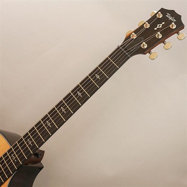 TAYLOR Next Generation 414ce テイラー 画像8
