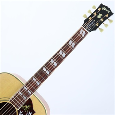 Gibson CTM Hummingbird Original Cocobolo 画像4