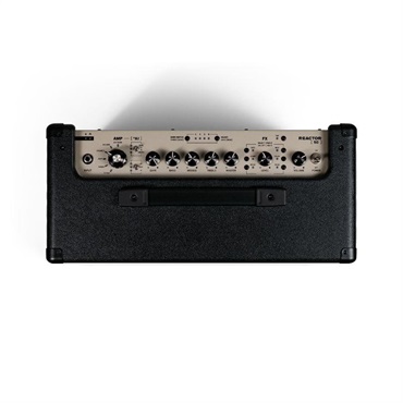 Positive Grid Reactor 50w【7月下旬入荷予定】 画像4