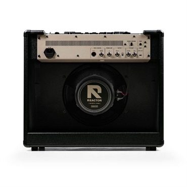 Positive Grid Reactor 100w 【7月10日発売】 画像2