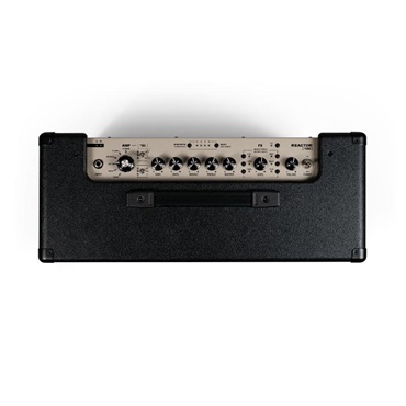 Positive Grid Reactor 100w 【7月10日発売】 画像4