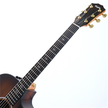 TAYLOR 224ce-K DLX テイラー 画像4