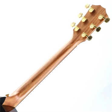 TAYLOR 224ce-K DLX テイラー 画像5