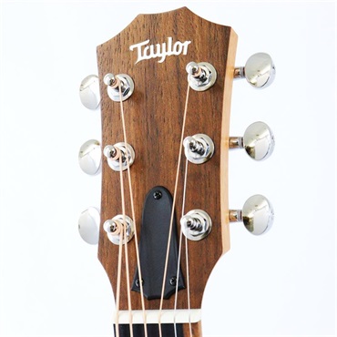 TAYLOR GS Mini Sapele テイラー 画像4