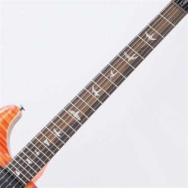 P.R.S. Custom 24-08 Limited Run (Salmon) [SN.0425739]【2026年生産品】 画像6