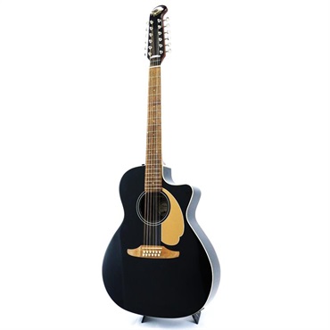Fender Acoustics USED 中古 Villager 12-String フェンダー 画像2
