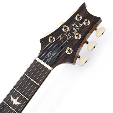 P.R.S. Paul’s Guitar Mango Limited Edition (Tiger Eye) SN.0424207 [2026年生産品] 画像8