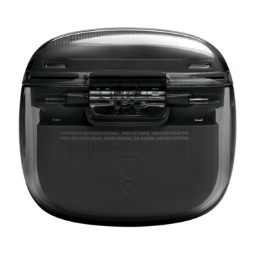 JBL Tune Flex 2 Ghost Edition (Ghost Black)(ゴーストブラック)(ジェイビーエル)(ワイヤレスイヤホン)(ノイズキャンセリング)(マイク内蔵)(IP54防塵防水)(マルチポイント対応)(JBLTFLEX2GBLK)【国内正規品・1年保証】 画像4