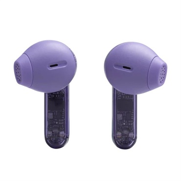 JBL Tune Flex 2 Ghost Edition (Ghost Mauve)(ゴーストブラック)(ジェイビーエル)(ワイヤレスイヤホン)(ノイズキャンセリング)(マイク内蔵)(IP54防塵防水)(マルチポイント対応)(JBLTFLEX2GMAE)【国内正規品・1年保証】 画像2