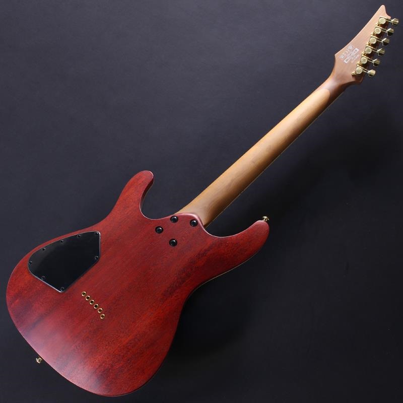 Ibanez SEW761FM-NTF #I250411167【特価】 ｜イケベ楽器店オンラインストア