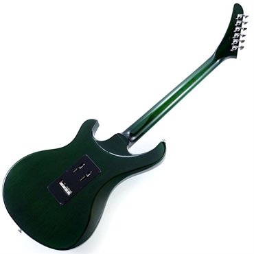 Gibson Victory Floyd Rose (Iguana Burst) 画像2