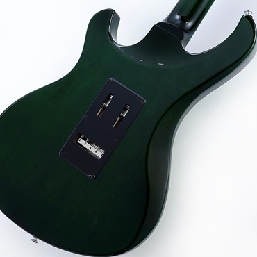 Gibson Victory Floyd Rose (Iguana Burst) 画像7