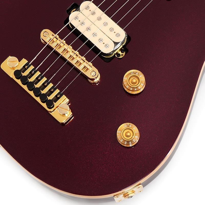 EVH Wolfgang Special TOM (Oxblood/Baked Maple) ｜イケベ楽器店