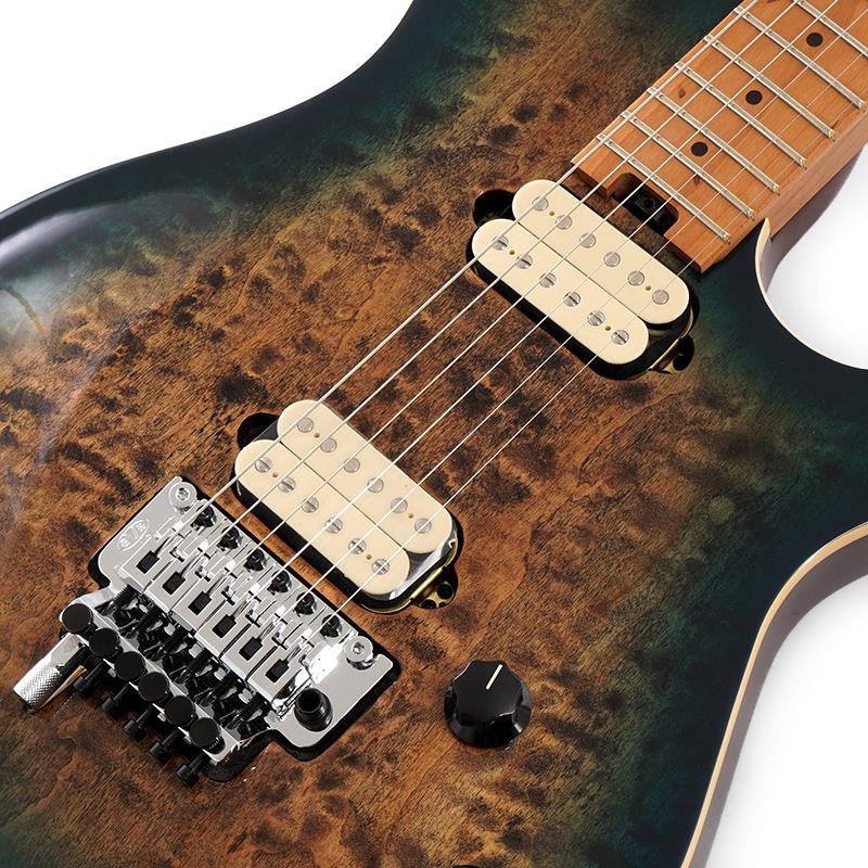 EVH Wolfgang Special QM (Indigo Burst/Baked Maple) ｜イケベ楽器店