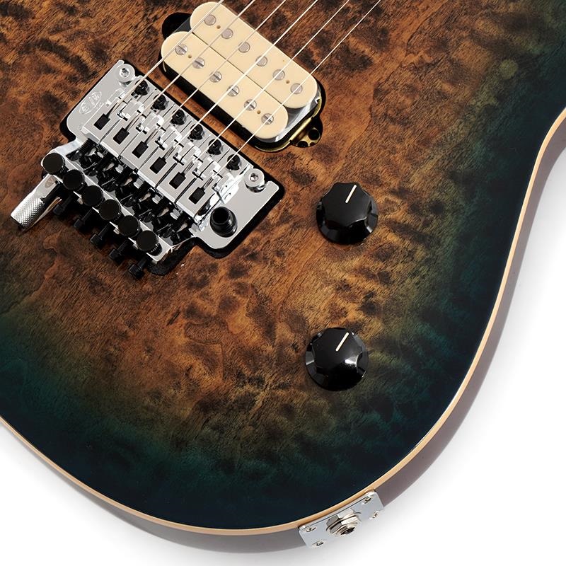 EVH Wolfgang Special QM (Indigo Burst/Baked Maple) ｜イケベ楽器店