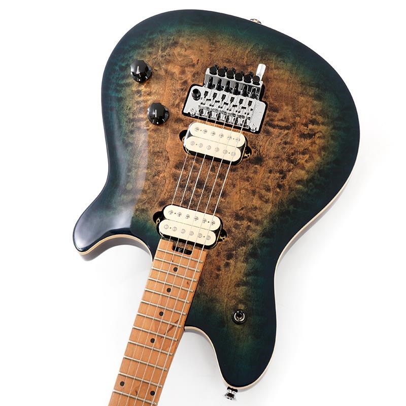EVH Wolfgang Special QM (Indigo Burst/Baked Maple) ｜イケベ楽器店
