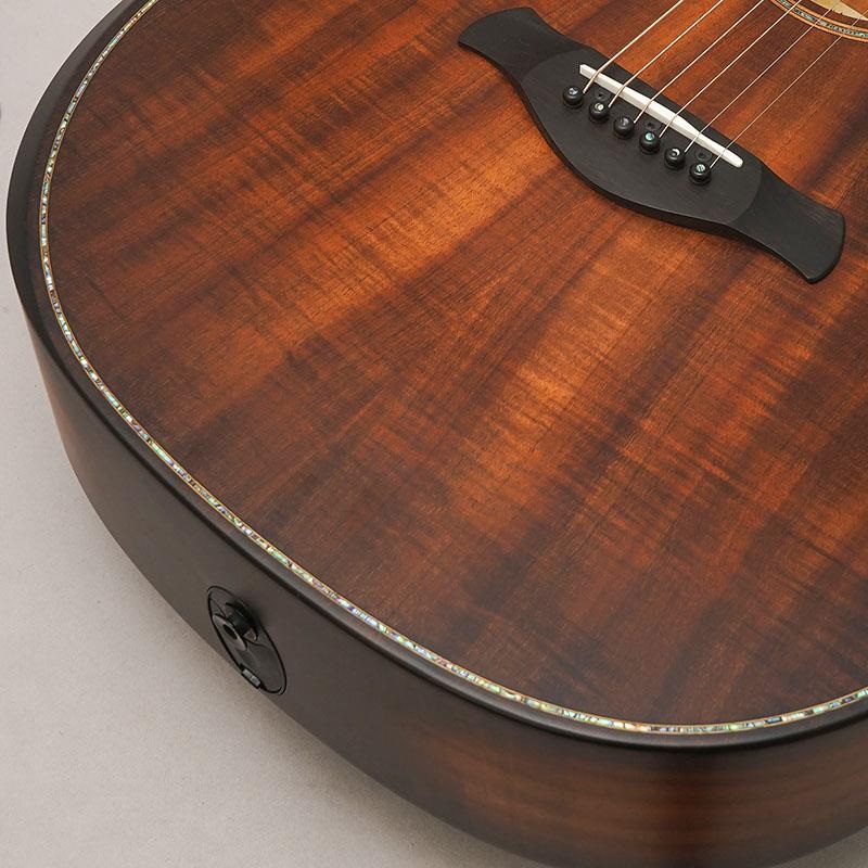 TAYLOR 【大決算セール】Builder's Edition K24ce テイラー ｜イケベ