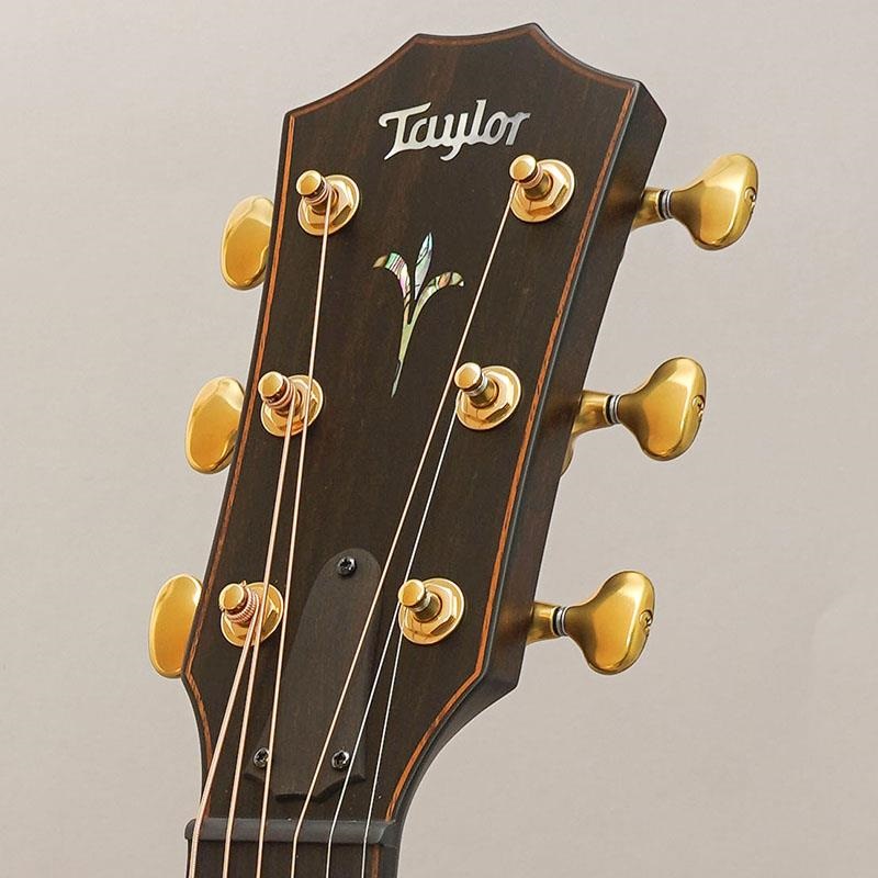 TAYLOR 【大決算セール】Builder's Edition K24ce テイラー ｜イケベ