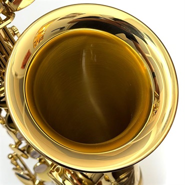 YANAGISAWA USED 中古 ヤナギサワ アルトサックス A-WO1 S/N 403xx0 【調整&セットアップ後出荷】【5年間キーバランス調整無料】 画像5