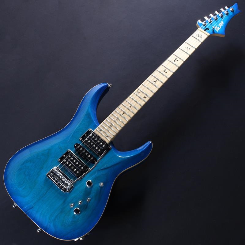 G-Life Guitars USED 中古 DSG Classic (Royal Blue Turquoise