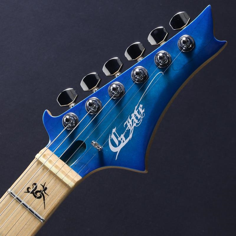 G-Life Guitars USED 中古 DSG Classic (Royal Blue Turquoise