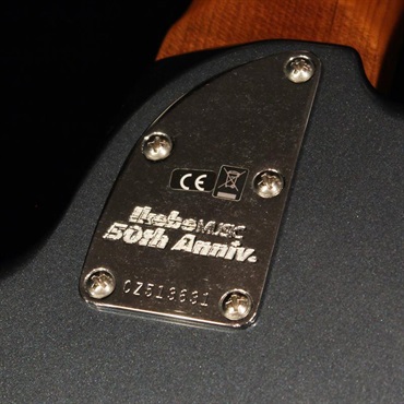 Fender Custom Shop Ikebe 50th Anniversary Custom Built Custom Classic Jazz Bass V Journeyman Relic (DLPB-MH) 画像7